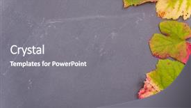  Presentation with multicolored autumn leaves orange yellow red - PPT layouts with september emplates - autumn background leaves on dark background and a  colored foreground