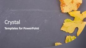  Presentation with fall leaves border autumn - PPT theme consisting of september emplates - autumn background leaves on dark background and a  colored foreground