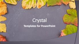  Presentation with fall leaves border autumn - Amazing PPT theme having september emplates - autumn background leaves on dark backdrop and a  colored foreground