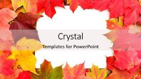  Presentation with maple leaves - Slide set with chemical education experiment formula concept background and a sky blue colored foreground