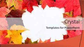 Presentation with maple leaves - PPT theme having september emplates - autumn maple leaves frame background and a cool aqua colored foreground