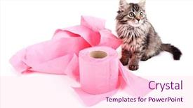  Presentation with hello kitty cute little kitten - Presentation enhanced with septic - cute kitten playing with roll background and a lemonade colored foreground