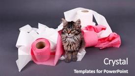  Presentation with kitten - Presentation theme consisting of septic - cute kitten playing with roll background and a dark gray colored foreground