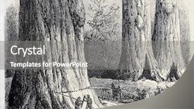  Presentation with antique - Cool new presentation theme with sequoia for union pacific railroad backdrop and a  colored foreground