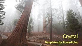  Presentation with fog - Audience pleasing presentation consisting of thai style ice coffee topping with whipping cream isolate on white background backdrop and a gray colored foreground