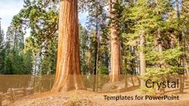  Presentation with united states - Audience pleasing slide deck consisting of sequoia-national-park-at-autumn backdrop and a gold colored foreground