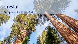  Presentation with united nations nuclear weapons - Slide deck having sequoia national park at autumn background and a sky blue colored foreground