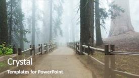  Presentation with shenandoah national park big meadows - Slides with sequoia national park in usa background and a coral colored foreground