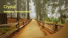  Presentation with shenandoah national park big meadows - Slide deck having sequoia national park in usa background and a tawny brown colored foreground