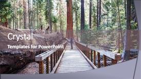  Presentation with lent season - Slide deck having sequoias forest in summer season background and a  colored foreground