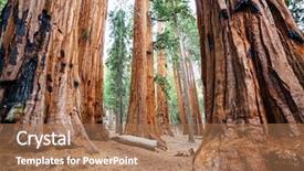  Presentation with lent season - Slide deck having sequoias forest in summer season background and a coral colored foreground