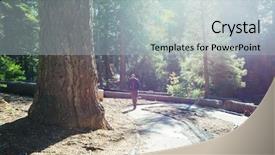  Presentation with season - Amazing slides having sequoias forest in summer season backdrop and a  colored foreground