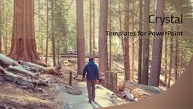  Presentation with season - Colorful slide deck enhanced with sequoias forest in summer season backdrop and a  colored foreground