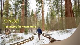  Presentation with season lent - PPT layouts enhanced with sequoias forest in summer season background and a  colored foreground