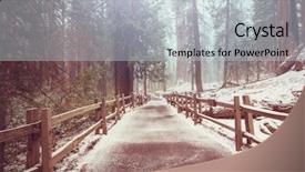  Presentation with season - Cool new PPT theme with sequoias forest in summer season backdrop and a  colored foreground