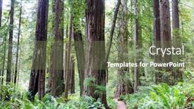  Presentation with season greeting 2022 - Colorful presentation design enhanced with sequoias-forest-in-summer-season backdrop and a violet colored foreground