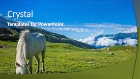  Presentation with himachal pradesh - Beautiful PPT layouts featuring serene landscape background - horse grazing on alpine meadow in himalayas mountains himachal pradesh india backdrop and a teal colored foreground