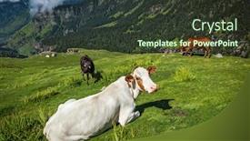  Presentation with himachal pradesh - Slide deck with himalayas mountains himachal pradesh background and a tawny brown colored foreground