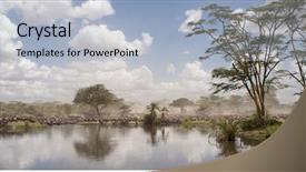  Presentation with serengeti africa - Presentation theme having serengeti national park tanzania africa background and a light blue colored foreground
