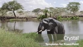  Presentation with serengeti africa - Cool new presentation with serengeti national park tanzania africa backdrop and a violet colored foreground