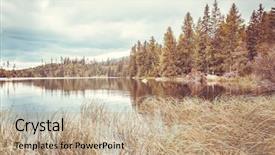  Presentation with bulrushes - Slides consisting of serenity of wild untouched nature background and a coral colored foreground