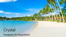  Presentation with serenity - Audience pleasing PPT theme consisting of serenity shore coconut coast backdrop and a light blue colored foreground