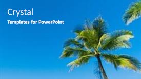  Presentation with serenity - Presentation design consisting of serenity shore coconut coast background and a gray colored foreground