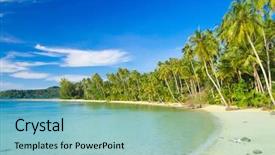  Presentation with serenity - PPT theme with serenity shore jungle lagoon background and a light blue colored foreground