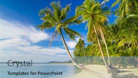  Presentation with serenity - Amazing presentation theme having serenity shore palm panorama backdrop and a light blue colored foreground