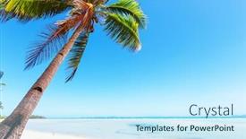  Presentation with serenity - Presentation enhanced with serenity-sunset-on-the-tropical background and a cool aqua colored foreground