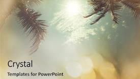  Presentation with serenity - Slide deck featuring serenity tropical beach background and a soft green colored foreground