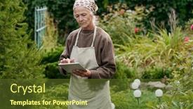  Presentation with green screen - PPT layouts with serious-grandmother-in-apron background and a tawny brown colored foreground