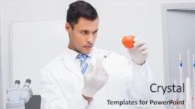  Presentation with injection - PPT theme having serious scientist doing injection to tomato in the laboratory background and a sky blue colored foreground