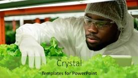  Presentation with beard - PPT layouts having serious-young-african-american background and a yellow colored foreground