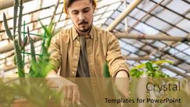  Presentation with greenhouse - Audience pleasing slide deck consisting of serious-young-bearded-man backdrop and a gold colored foreground