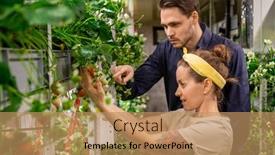  Presentation with vertical farm - PPT theme enhanced with serious-young-man-pointing background and a coral colored foreground