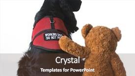  Presentation with animal therapy - Amazing presentation having service animal - therapy dog being comforted backdrop and a tawny brown colored foreground