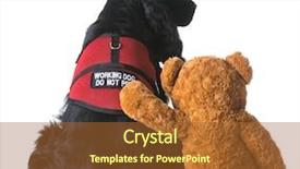  Presentation with animal therapy - Slide set featuring service animal - therapy dog sitting beside background and a red colored foreground