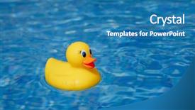  Presentation with service animal - Beautiful presentation design featuring service animal - yellow rubber duck in blue backdrop and a teal colored foreground