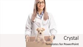  Presentation with worried young female college student - Beautiful theme featuring service animal - young female vet doctor holding backdrop and a lemonade colored foreground