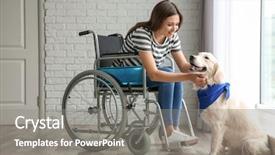  Presentation with service animal - PPT layouts featuring service animal - young woman in wheelchair background and a gray colored foreground