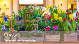  Presentation with colorful flower - PPT layouts having service others - bouquet of colorful roses background and a coral colored foreground