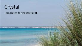  Presentation with beach palm tree wedding - PPT theme enhanced with ses - es trenc mallorca nudist beach background and a light blue colored foreground