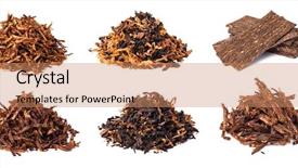  Presentation with tobacco - Slide set with set dried smoking tobacco isolated background and a coral colored foreground