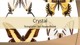 Presentation with butterflies - Amazing presentation theme having set of four swallowtail butterflies backdrop and a lemonade colored foreground