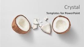  Presentation with coconut fruit - Audience pleasing presentation theme consisting of set-from-freshly-brocken-ripe backdrop and a light gray colored foreground