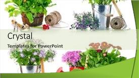 Presentation with garden tools - Amazing slide set having set garden flowers with tools backdrop and a soft green colored foreground