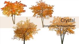  Presentation with trees - Colorful slides enhanced with set of autumn trees isolated backdrop and a yellow colored foreground