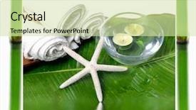  Presentation with incense - Theme featuring set of bamboo grove with incense and stones background and a soft green colored foreground