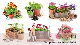  Presentation with garden tools - Cool new PPT theme with set-of-bouquet-flowers backdrop and a coral colored foreground